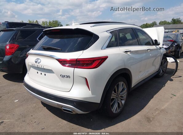 3PCAJ5CB6MF114572 2021 INFINITI QX50 White Rear right