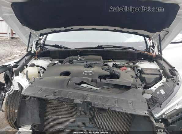 3PCAJ5M11LF119330 2020 INFINITI QX50 Белый Вид сзади
