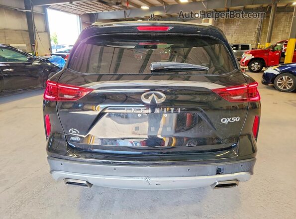 3PCAJ5M34KF131245 2019 INFINITI QX50 Black Widok z tyłu