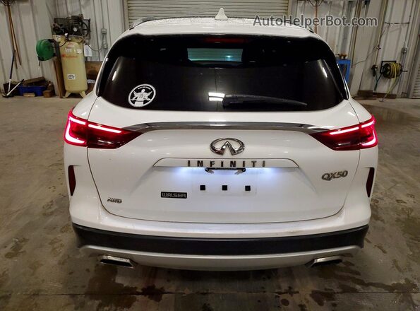 3PCAJ5M35LF105738 2020 INFINITI QX50 Белый Вид сзади