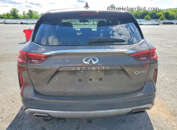3PCAJ5M39KF100475 2019 INFINITI QX50 Brown Вид ззаду