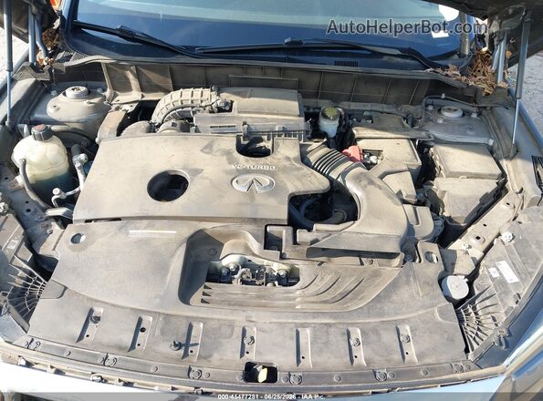 3PCAJ5M39KF103831 2019 INFINITI QX50 Gray Հետևի տեսք