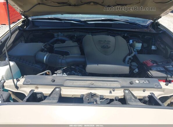 3TMAZ5CN4HM049905 2017 TOYOTA TACOMA Tan Հետևի տեսք