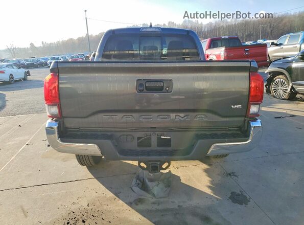 3TMAZ5CN4PM211899 2023 TOYOTA TACOMA Gray Widok z tyłu