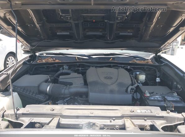 3TMBZ5DN7HM010003 2017 TOYOTA TACOMA Gray Rear view