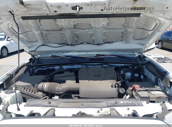 3TMBZ5DN8KM019543 2019 TOYOTA TACOMA White Вид ззаду