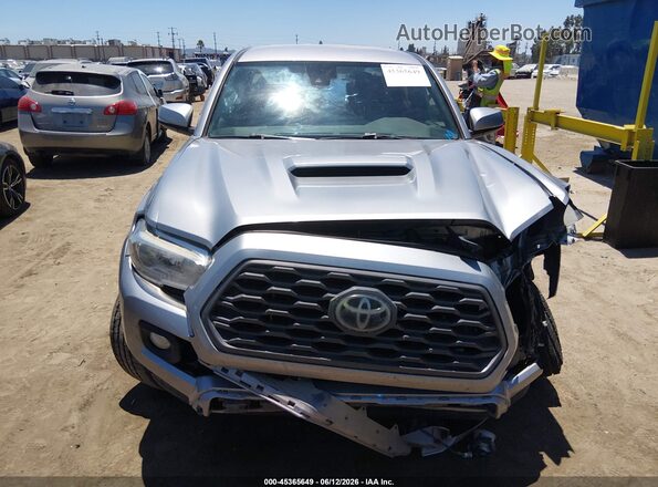 3TMBZ5DN8LM025926 2020 TOYOTA TACOMA Серебряный Вид задней части салона
