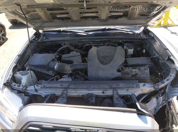 3TMBZ5DN8LM025926 2020 TOYOTA TACOMA Серебряный Вид сзади