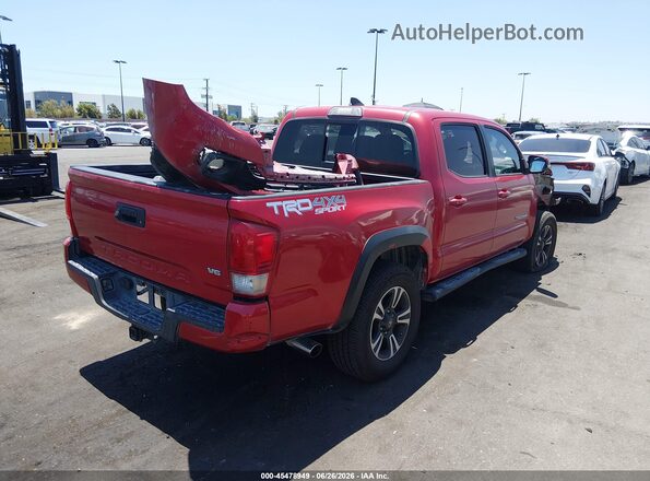 3TMCZ5AN0HM065384 2017 TOYOTA TACOMA Red Trasero derecho