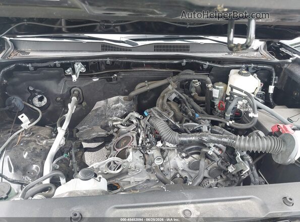 3TMCZ5AN0PM651288 2023 TOYOTA TACOMA Black Widok z tyłu