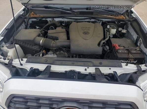 3TMCZ5AN1MM411484 2021 TOYOTA TACOMA White უკანა სალონის ხედი
