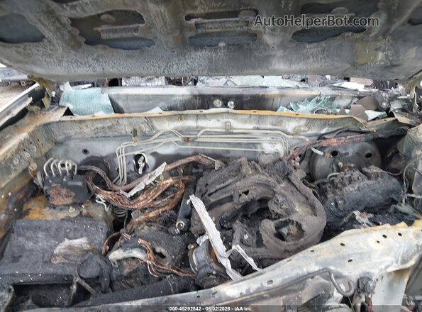 3TMCZ5AN2MM424647 2021 TOYOTA TACOMA Gray უკანა ხედი
