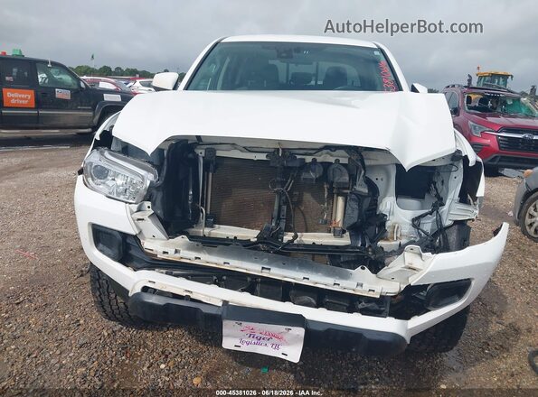 3TMCZ5AN2PM543772 2023 TOYOTA TACOMA White Widok zestawu wskaźników