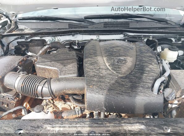 3TMCZ5AN2PM543772 2023 TOYOTA TACOMA White Widok z tyłu
