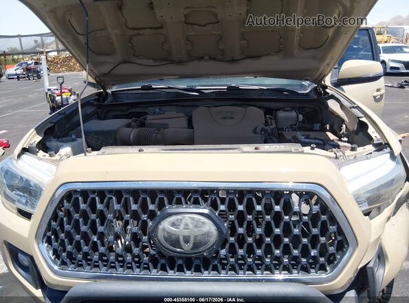 3TMCZ5AN3KM213938 2019 TOYOTA TACOMA Brown Widok z tyłu