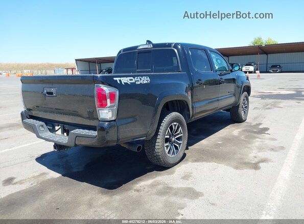 3TMCZ5AN3PM640169 2023 TOYOTA TACOMA Black Tył prawy