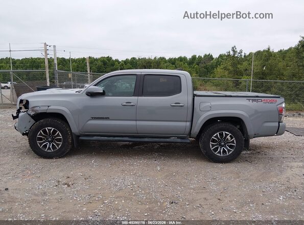 3TMCZ5AN4LM290741 2020 TOYOTA TACOMA Gray სალონის 360-გრადუსიანი ხედი