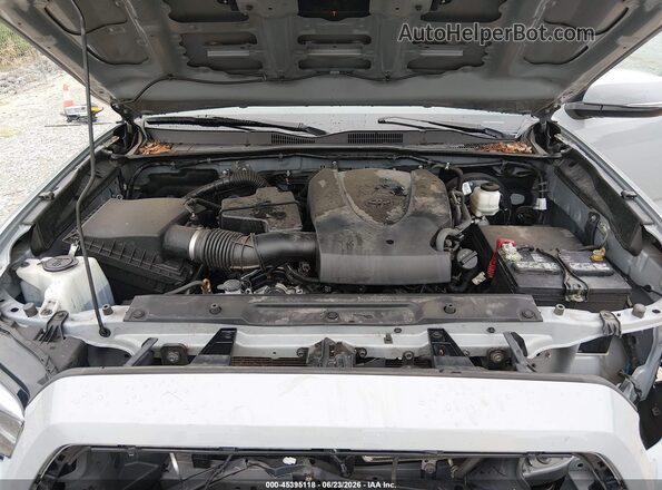 3TMCZ5AN4LM290741 2020 TOYOTA TACOMA Gray უკანა ხედი
