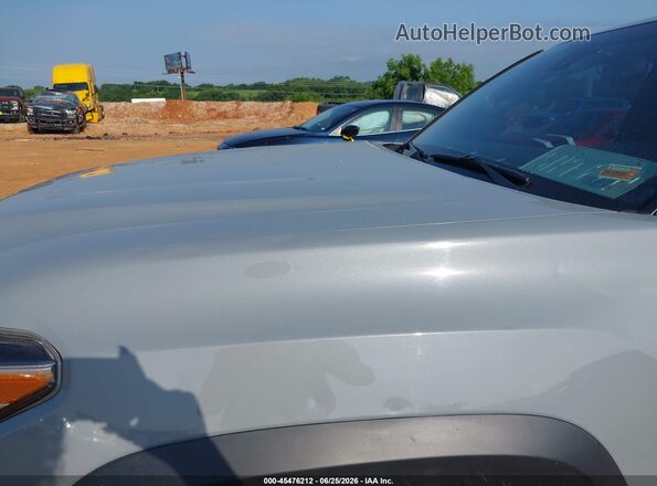 3TMCZ5AN4LM316173 2020 TOYOTA TACOMA Gray Вид спереду