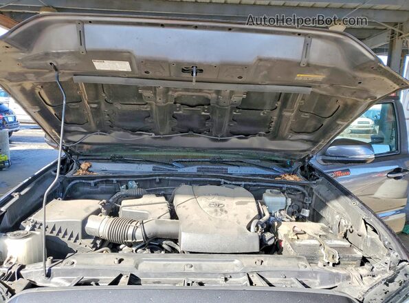 3TMCZ5AN4MM420227 2021 TOYOTA TACOMA Gray Սալոնի հետևի տեսք