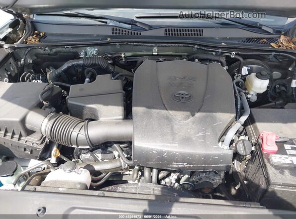 3TMCZ5AN4PM651004 2023 TOYOTA TACOMA Silver Widok z tyłu