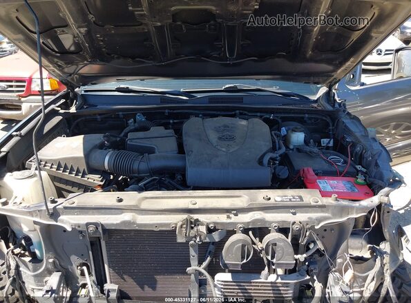 3TMCZ5AN5KM281593 2019 TOYOTA TACOMA Серый Вид сзади