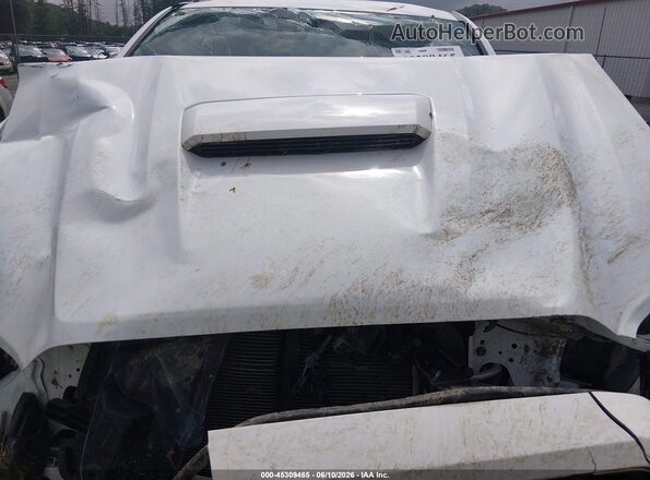 3TMCZ5AN5LM353491 2020 TOYOTA TACOMA White Հետևի տեսք