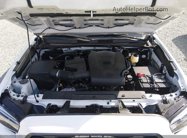 3TMCZ5AN5PM549906 2023 TOYOTA TACOMA White Rear view
