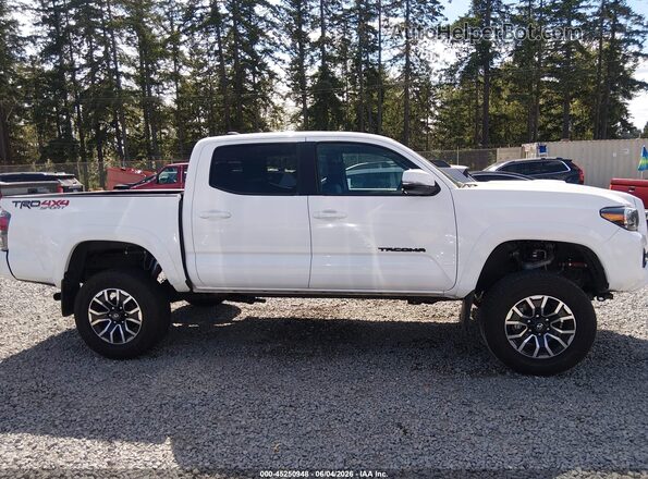 3TMCZ5AN5PM549906 2023 TOYOTA TACOMA White 360 interior view