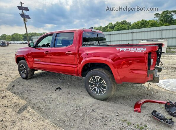 3TMCZ5AN5PM551400 2023 TOYOTA TACOMA Red Հետևի ձախ