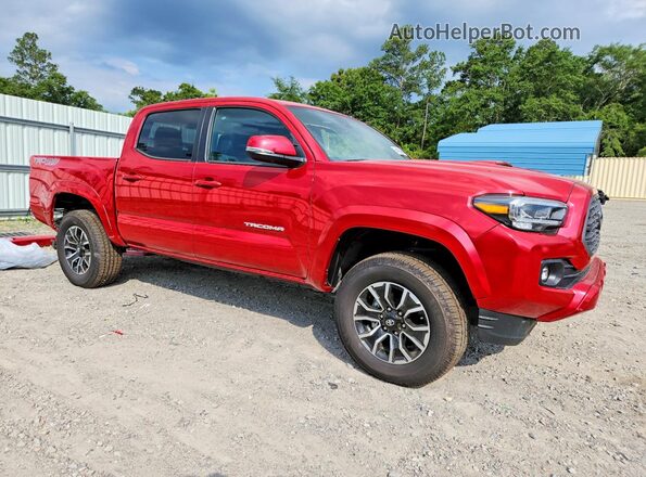 3TMCZ5AN5PM551400 2023 TOYOTA TACOMA Red Առջևի աջ