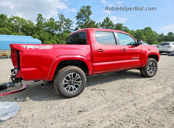 3TMCZ5AN5PM551400 2023 TOYOTA TACOMA Red Հետևի աջ