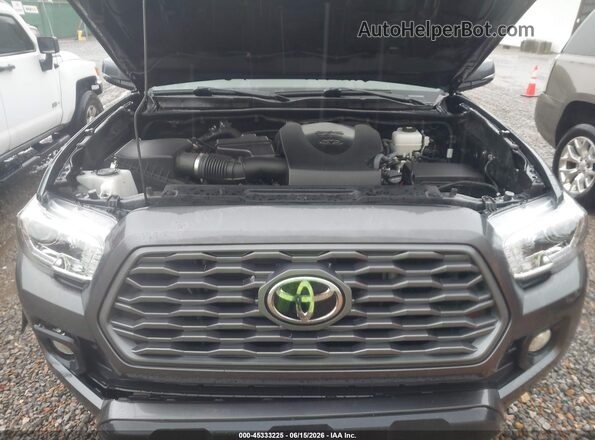 3TMCZ5AN5PM627987 2023 TOYOTA TACOMA Gray Widok z tyłu