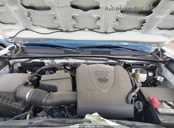 3TMCZ5AN5PM653862 2023 TOYOTA TACOMA White Widok z tyłu