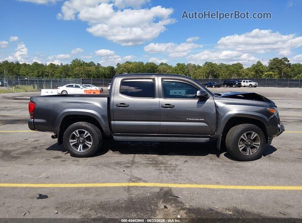 3TMCZ5AN6HM097630 2017 TOYOTA TACOMA Gray Սալոնի հետևի տեսք