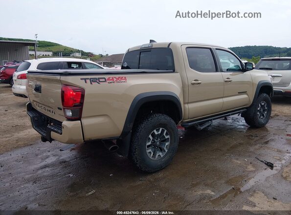 3TMCZ5AN6LM328342 2020 TOYOTA TACOMA Tan Հետևի աջ