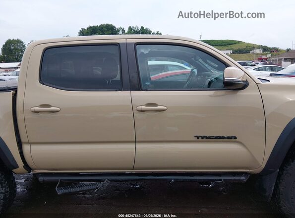 3TMCZ5AN6LM328342 2020 TOYOTA TACOMA Tan Սալոնի հետևի տեսք