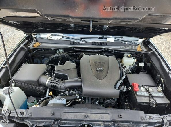 3TMCZ5AN6MM373248 2021 TOYOTA TACOMA Black Սալոնի հետևի տեսք
