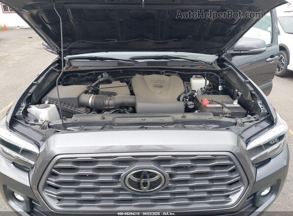3TMCZ5AN7PM588979 2023 TOYOTA TACOMA Gray Rear view