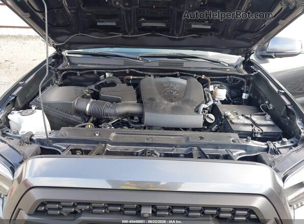 3TMCZ5AN7PM608924 2023 TOYOTA TACOMA Gray უკანა ხედი