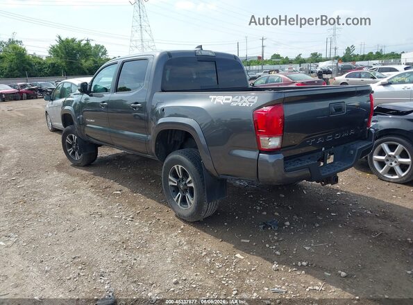 3TMCZ5AN8HM091246 2017 TOYOTA TACOMA Gray უკანა მარცხენა