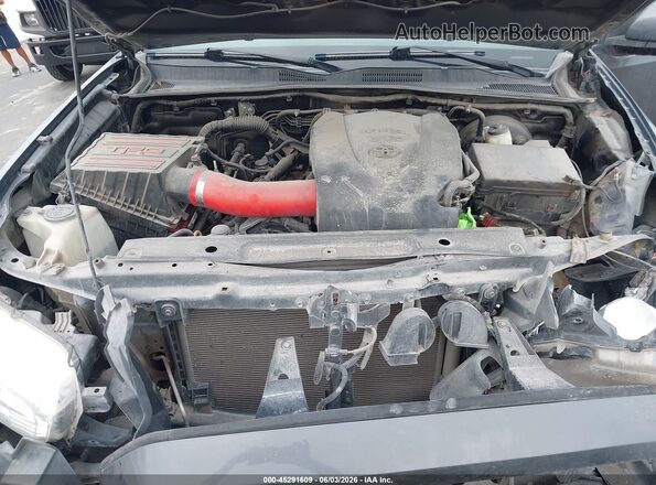 3TMCZ5AN9LM355258 2020 TOYOTA TACOMA Серый Вид сзади