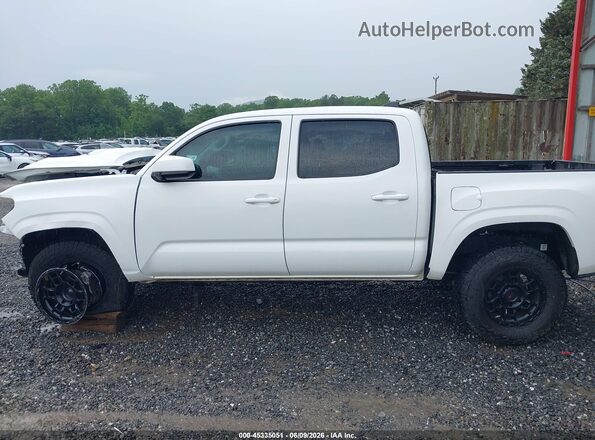 3TMCZ5ANXPM600364 2023 TOYOTA TACOMA White Սալոնի 360 աստիճան տեսք
