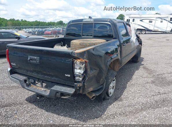 3TMCZ5ANXPM633736 2023 TOYOTA TACOMA Black Trasero derecho