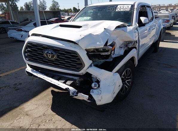3TMDZ5BN4PM168938 2023 TOYOTA TACOMA White Widok wnętrza z tyłu