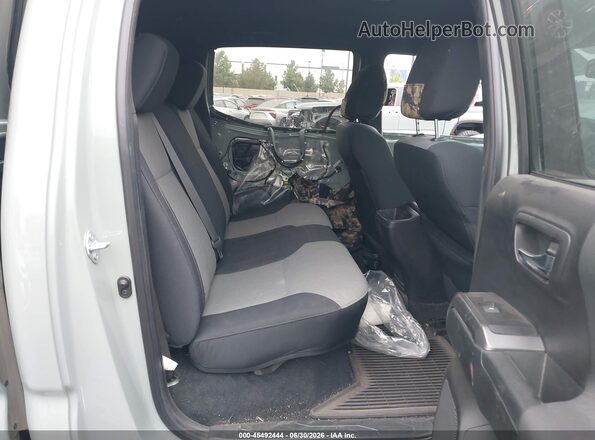 3TMDZ5BN9PM144263 2023 TOYOTA TACOMA Зеленый Вид наклейки с VIN-кодом