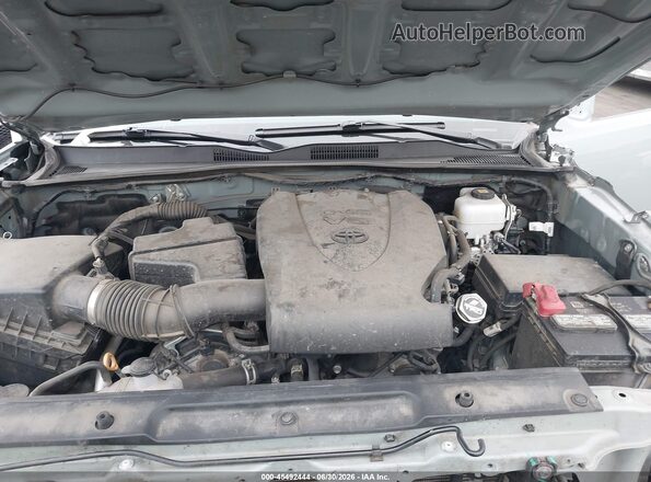 3TMDZ5BN9PM144263 2023 TOYOTA TACOMA Зеленый Вид сзади