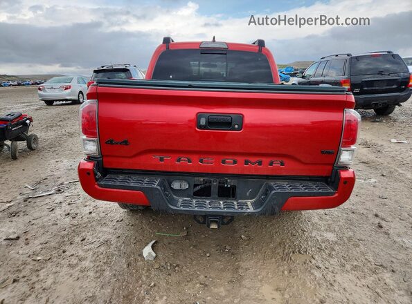 3TMGZ5AN7HM051449 2017 TOYOTA TACOMA Red Вид ззаду