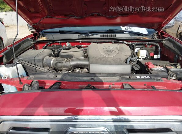 3TMGZ5AN7KM240609 2019 TOYOTA TACOMA Красный Вид сзади