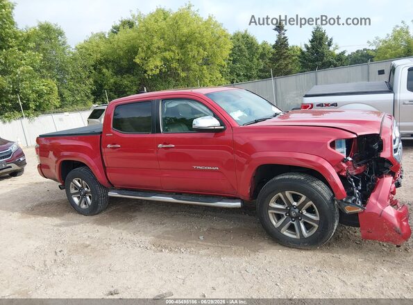 3TMGZ5AN7KM240609 2019 TOYOTA TACOMA Красный Вид задней части салона